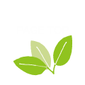 PAGE TOP